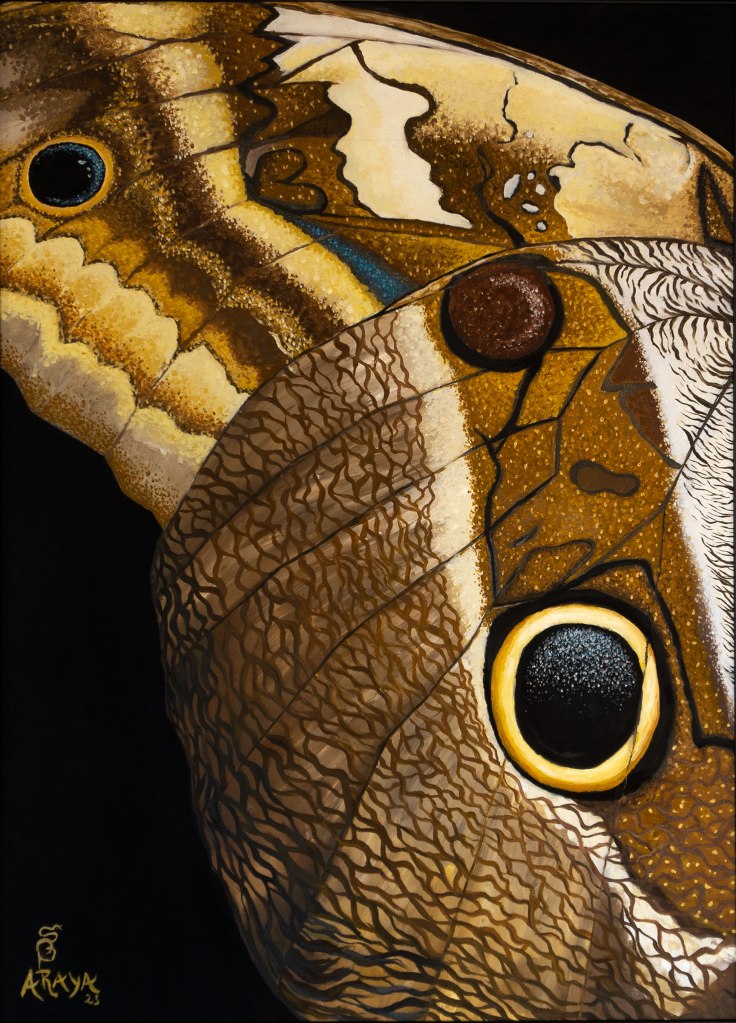 Close-up of Caligo Owl butterfly wing showcasing intricate patterns and vibrant colors